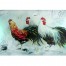 Schilderij Impressionistisch John Frel Haantje de Voorste Dieren schilderijen